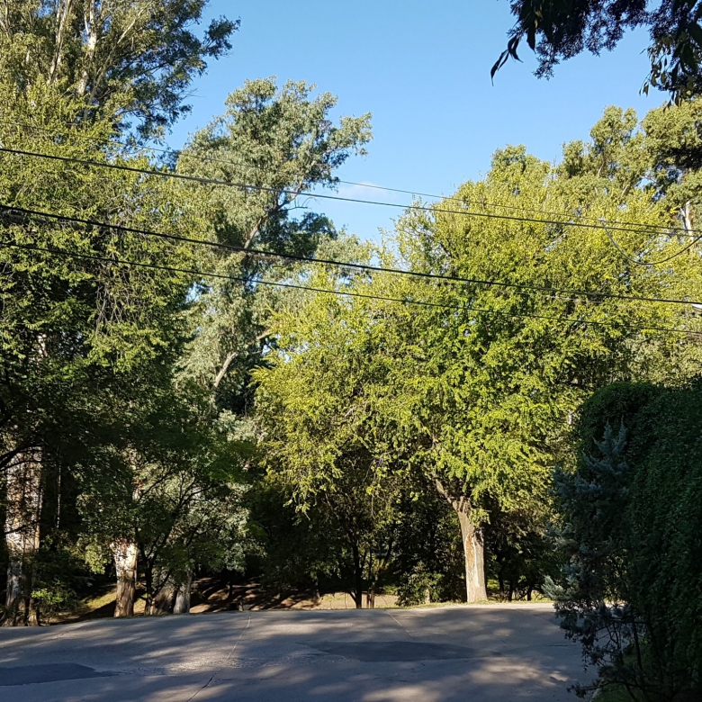 Costanera de Barrio Liniers