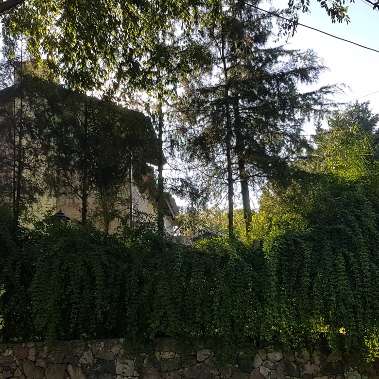 Costanera de Barrio Liniers