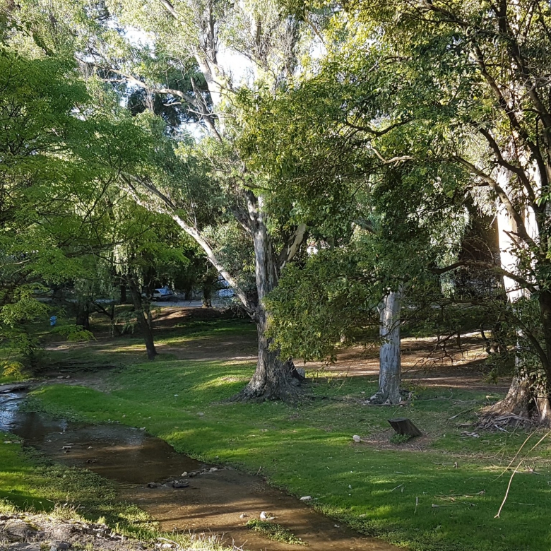 Costanera de Barrio Liniers