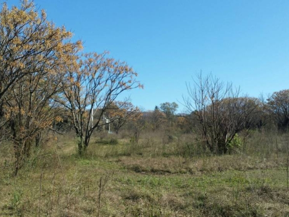 La Rinconada